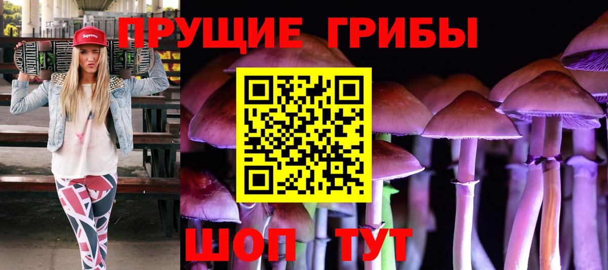Псилоцибиновые грибы Psilocybe  Галлюциногенные грибы MAGIC MUSHROOMS  наркота  Вход с VPN  Рязань 